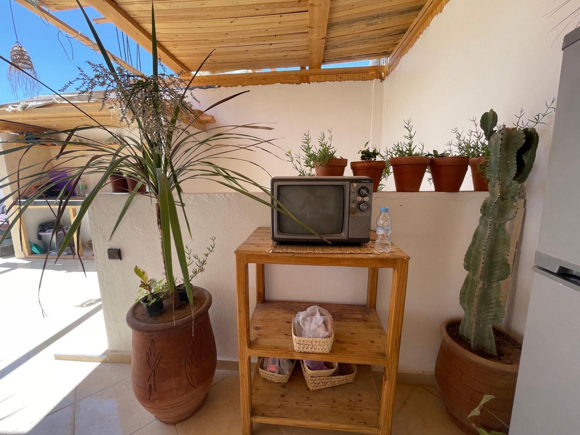 Jungle Surf House Hostel Taghazout Bagian luar foto