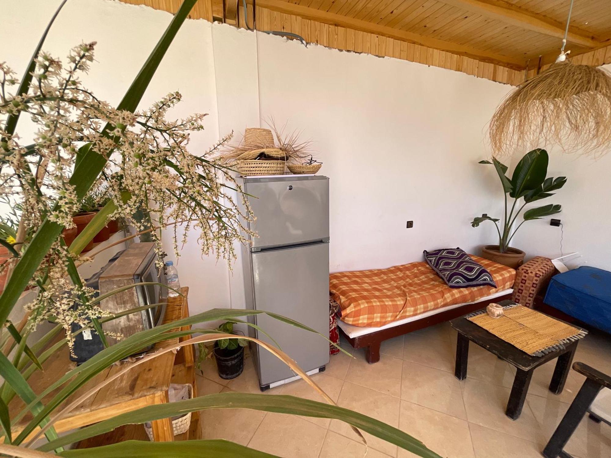 Jungle Surf House Hostel Taghazout Bagian luar foto